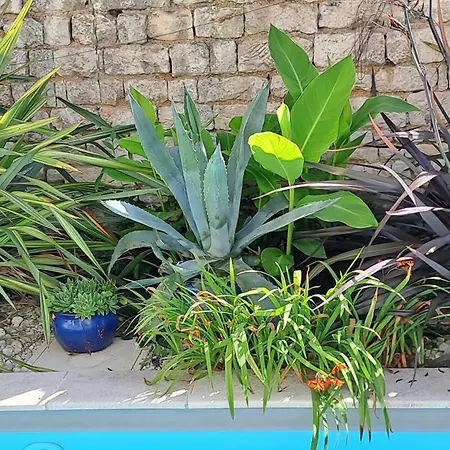 Couette-café L'angély