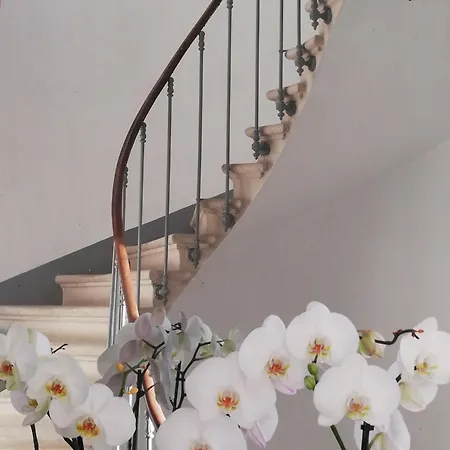 L'angely - D'hotes Bed & Breakfast Niort