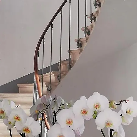 Bed & Breakfast L'angely - D'hotes Niort