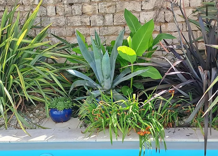 Bed & Breakfast L'angely - D'hotes